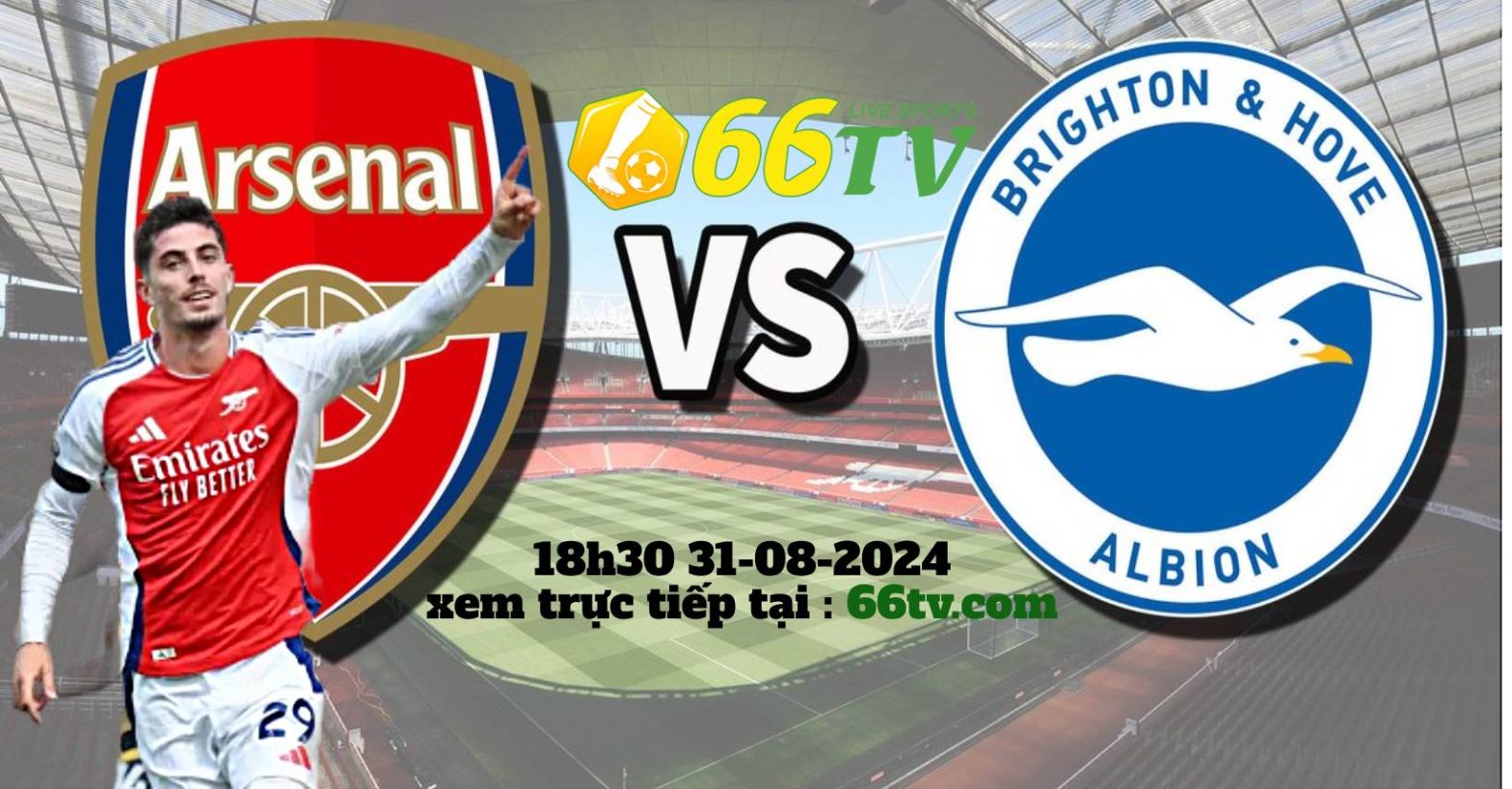 Nhận định Arsenal vs Brighton( 18h30 31/08 ): Pháo thủ dập tắt hiện tượng