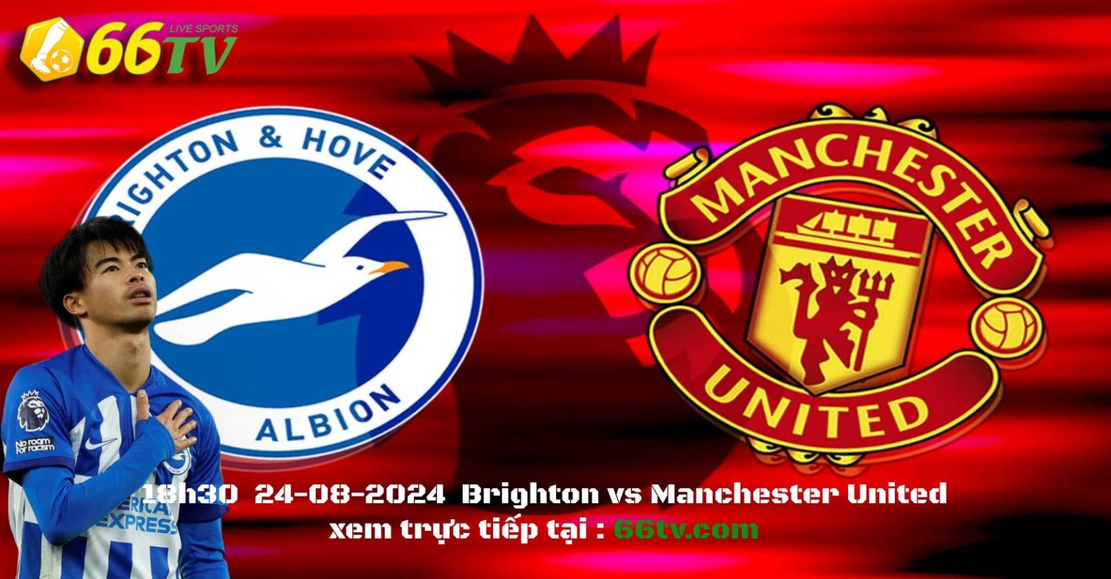 Nhận định Brighton vs Manchester United : sân khách khó khăn